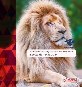 Publicadas as regras da Declarao do Imposto de Renda 2019