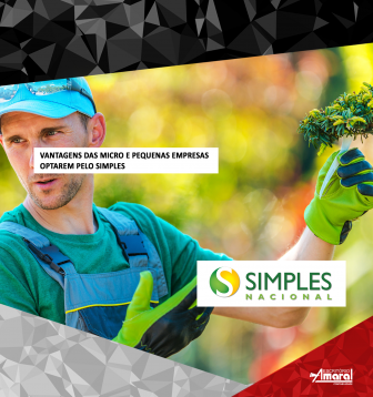 Vantagens das micro e pequenas empresas optarem pelo simples