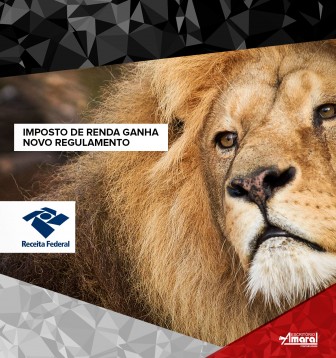 Imposto de Renda ganha Novo Regulamento
