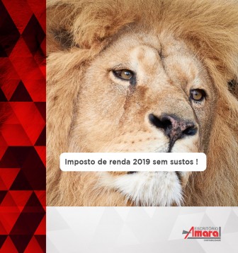 Imposto de renda 2019 sem sustos !