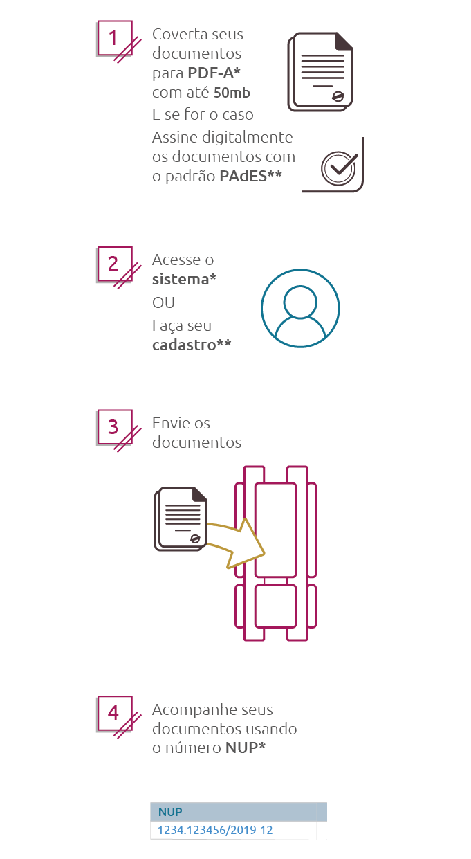 Infogrfico explicativo 